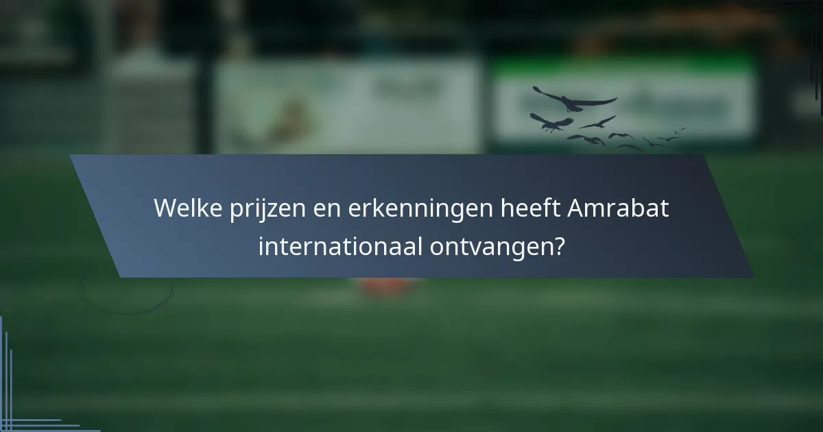 Welke prijzen en erkenningen heeft Amrabat internationaal ontvangen?